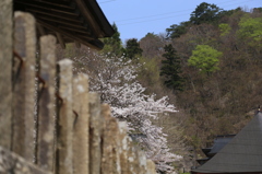 山寺の春①