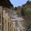 山寺の春①