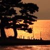 宍道湖夕暮れ