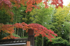 京都2