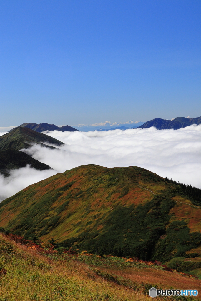 色好き始めた巻機山