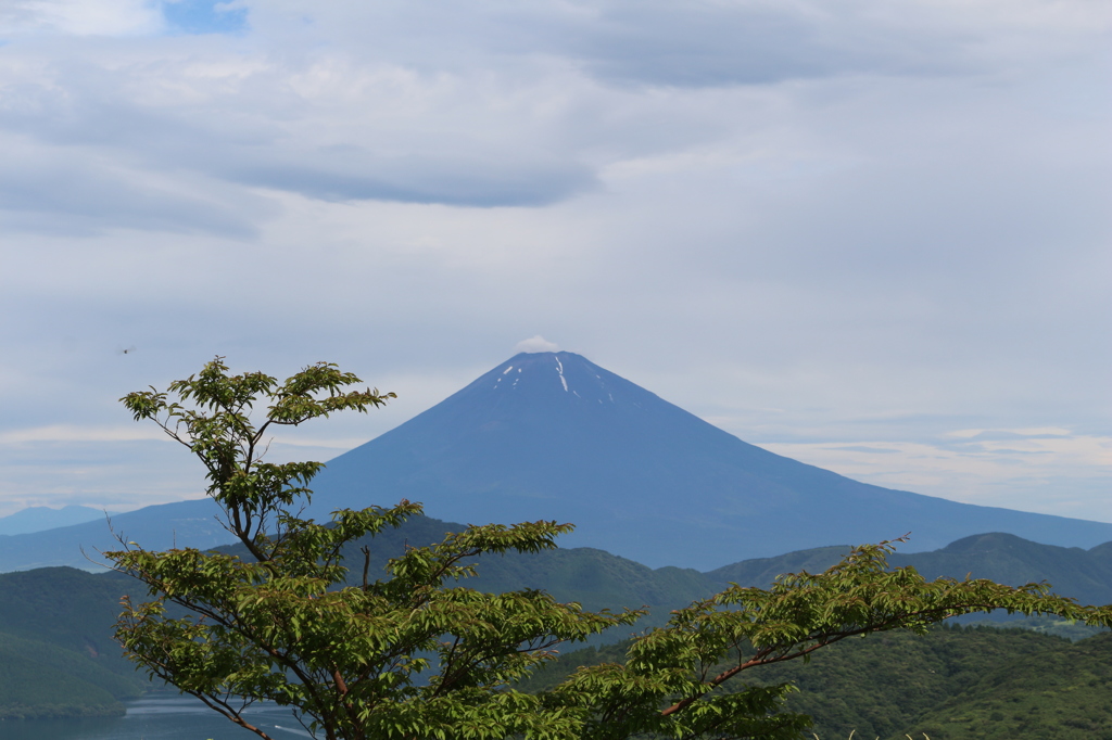 富士山