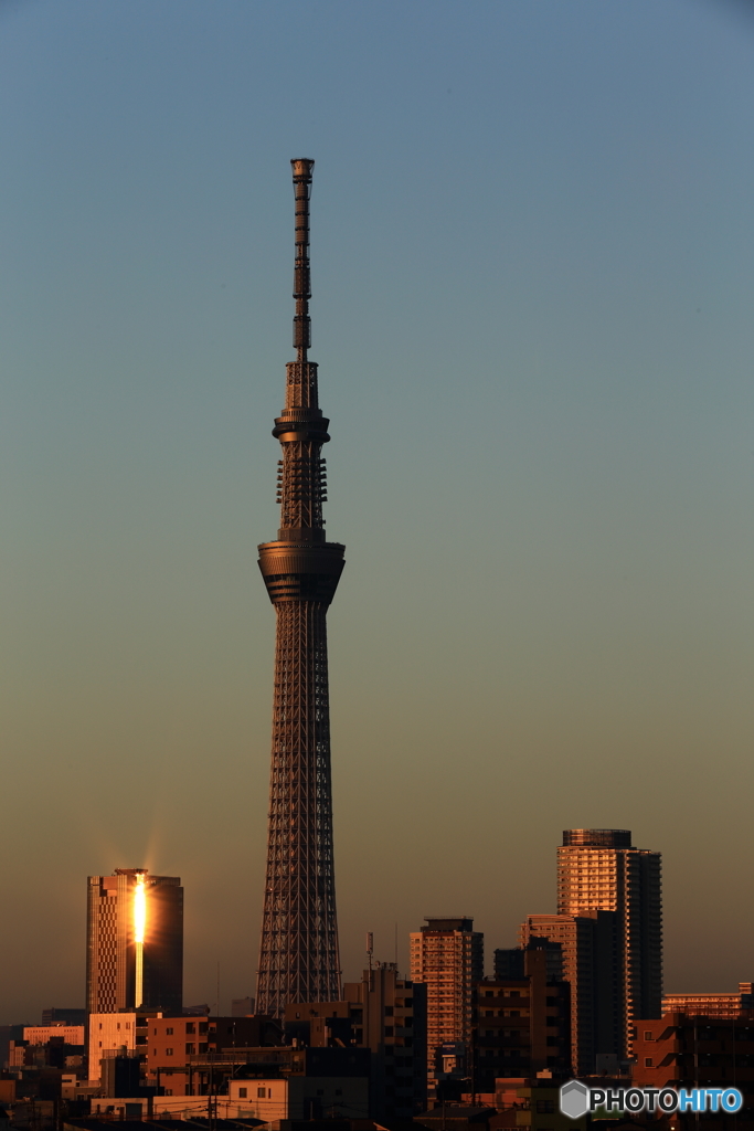 朝の輝き
