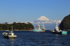 戸田港①