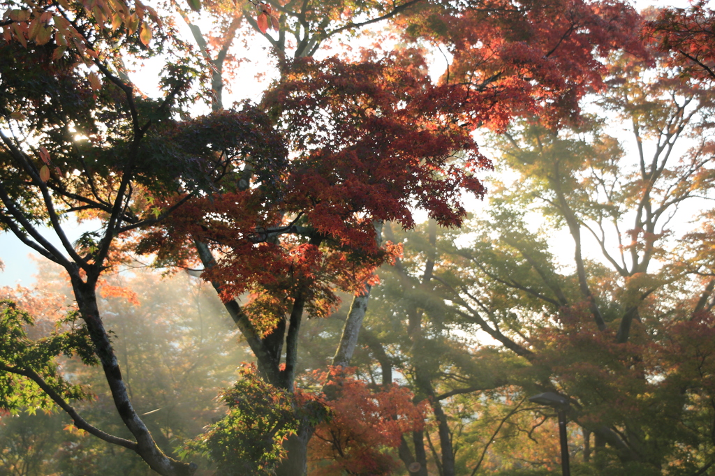 清水寺4