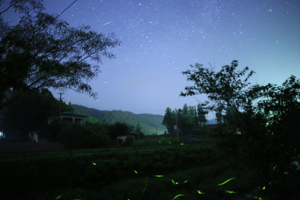 ホタルと夜空と流れ星？