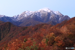 【越後駒ケ岳】冠雪＆紅葉