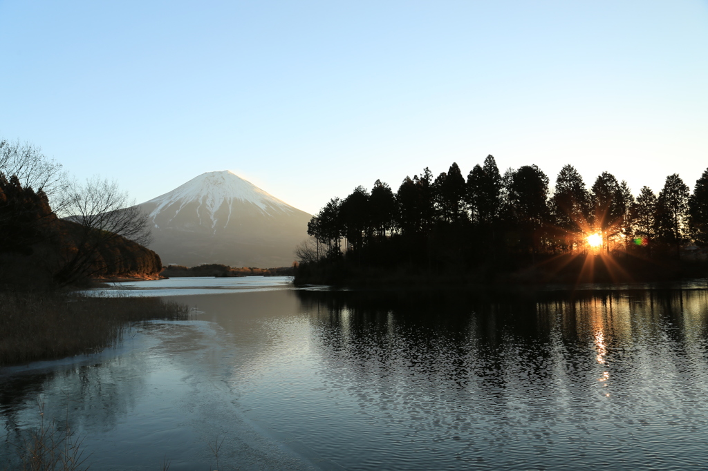 田貫湖④