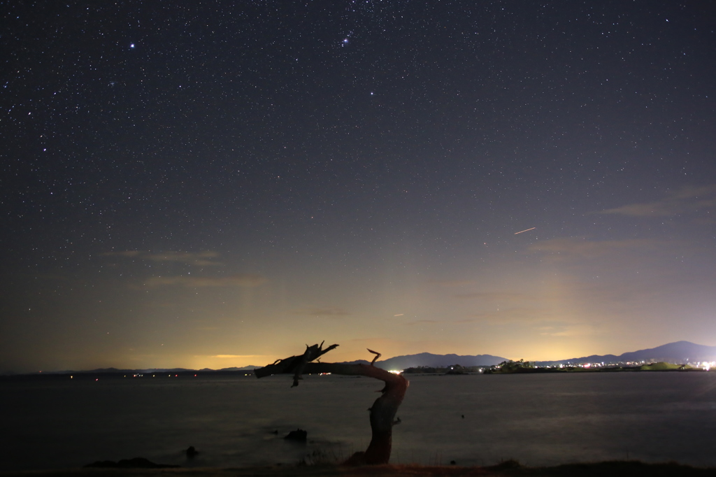 夜の海に舞い降りた龍