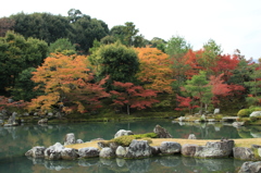 京都1