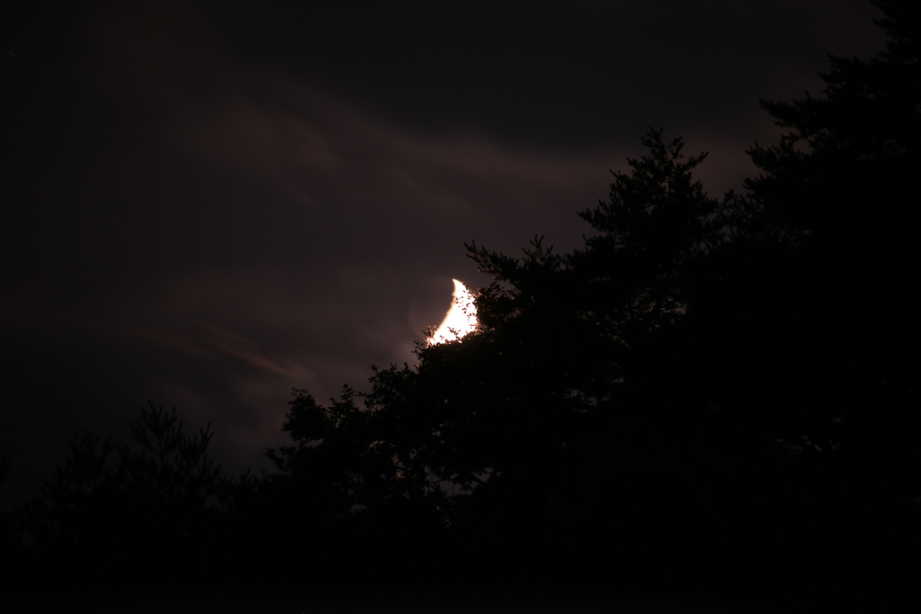 Crescent moon森に
