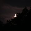 Crescent moon森に