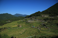 丸山千枚田1