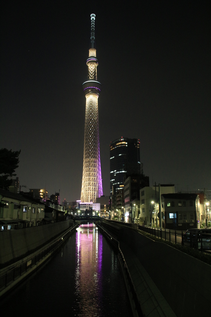 スカイツリーピンク