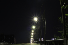 近所散歩19