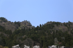 山寺の春③