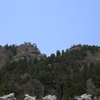 山寺の春③
