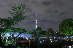 共演＾＾♪①