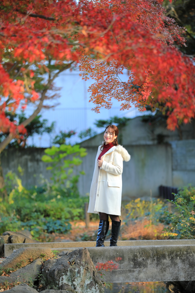 紅葉