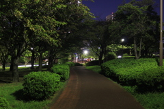 近所散歩9