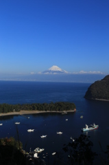 戸田港③