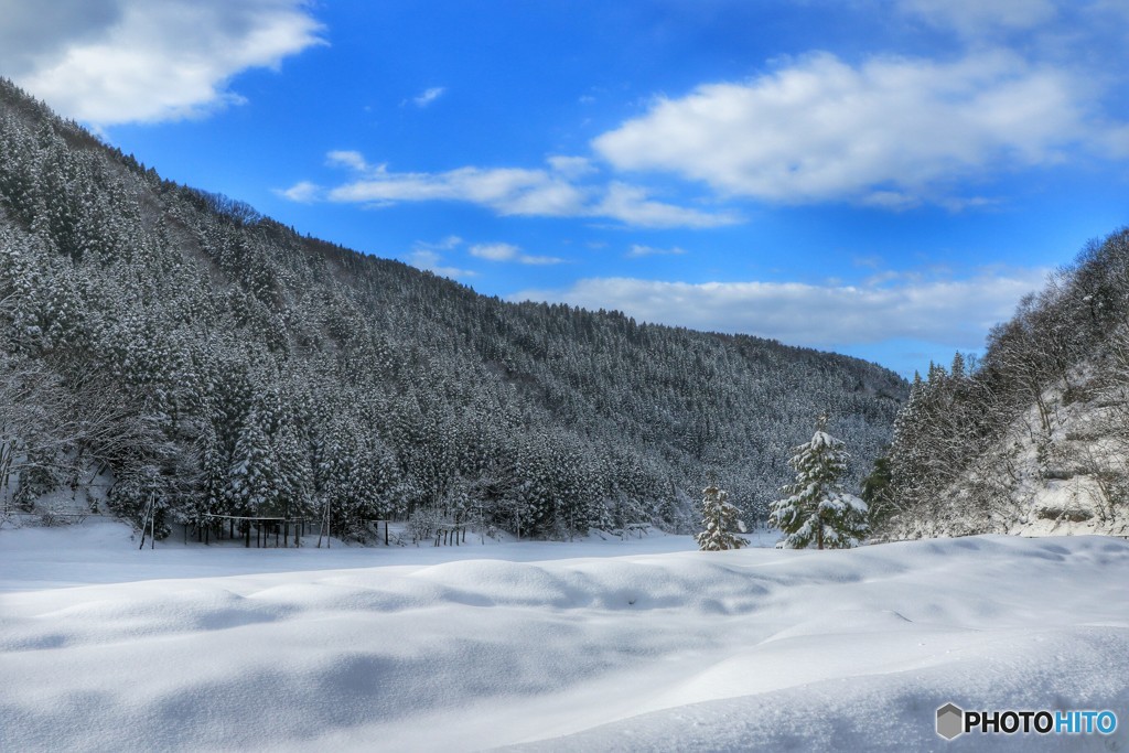 里山の雪化粧