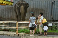 うわぁ、かいじゅう！