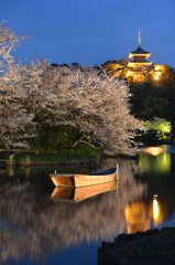 三渓園の夜桜