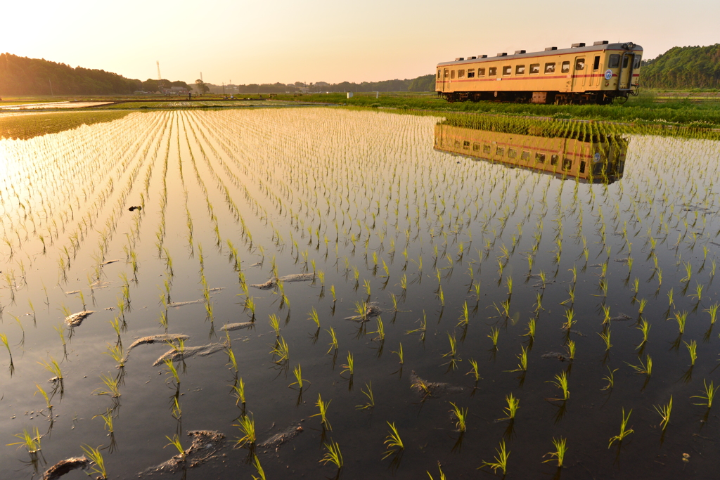 夕暮れ時の鉄道風景