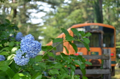 津軽鉄道