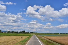 田んぼと雲。