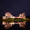 小湊鐵道の夜桜