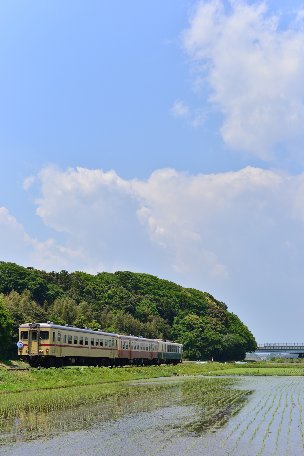 青空の下、田園を走る