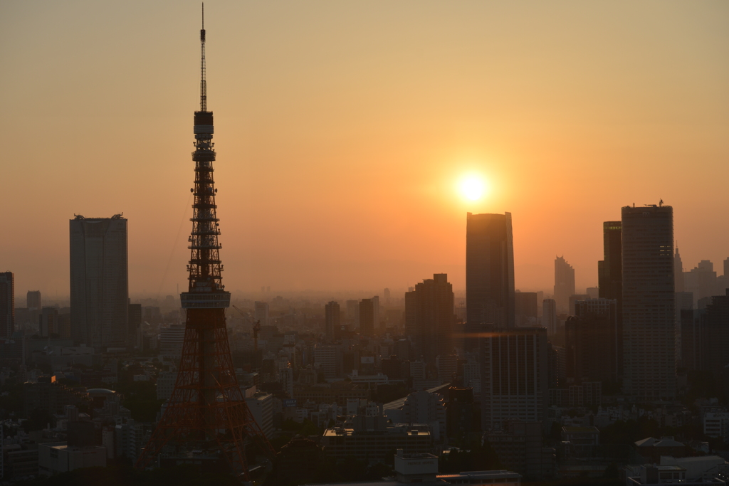 夕日の東京タワー