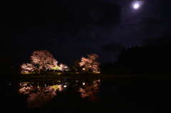 小湊鐵道の夜桜