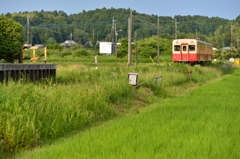初夏の小湊鐵道