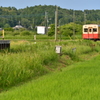 初夏の小湊鐵道