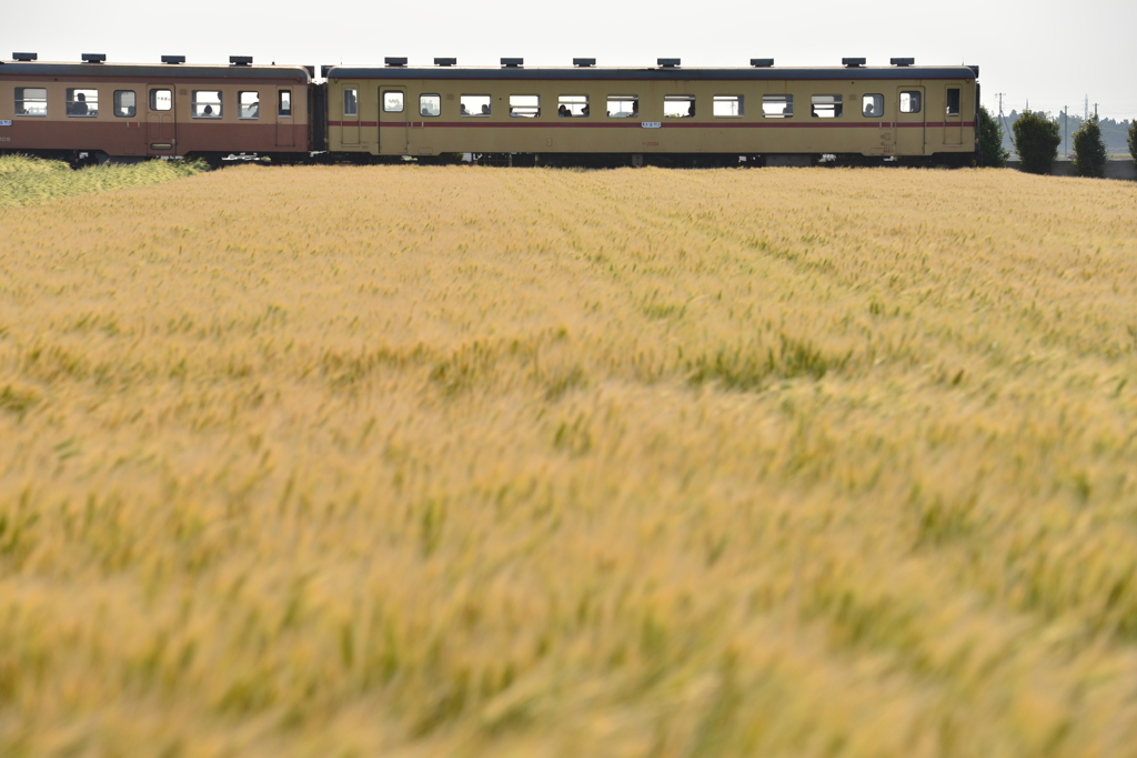 ひたちなかの鉄道風景