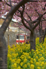 春の京急線