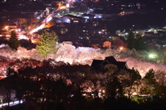 高遠の夜桜