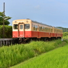 初夏の小湊鐵道