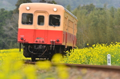 春の小湊鐵道