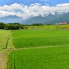小海線風景