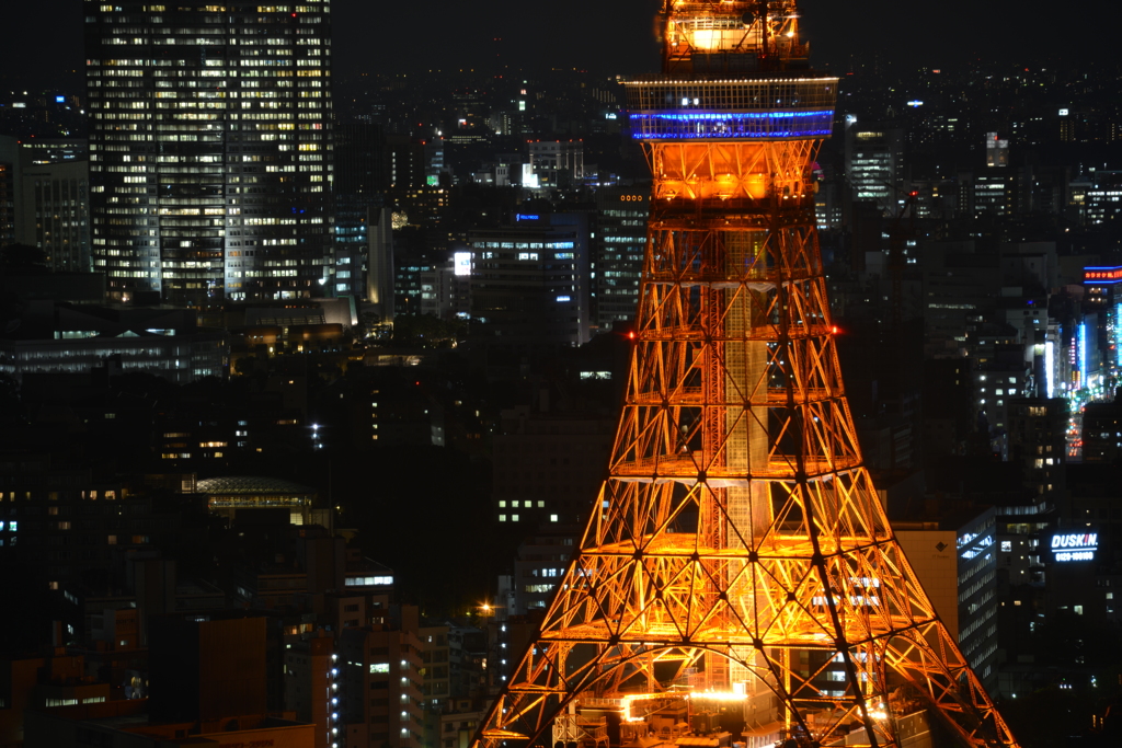 夜の東京タワー