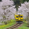 春のいすみ鉄道