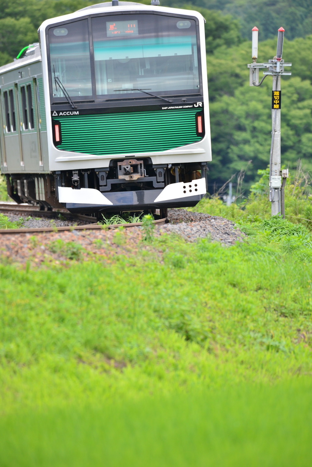 烏山線風景