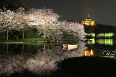 三渓園の夜桜