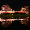小湊鐵道の夜桜