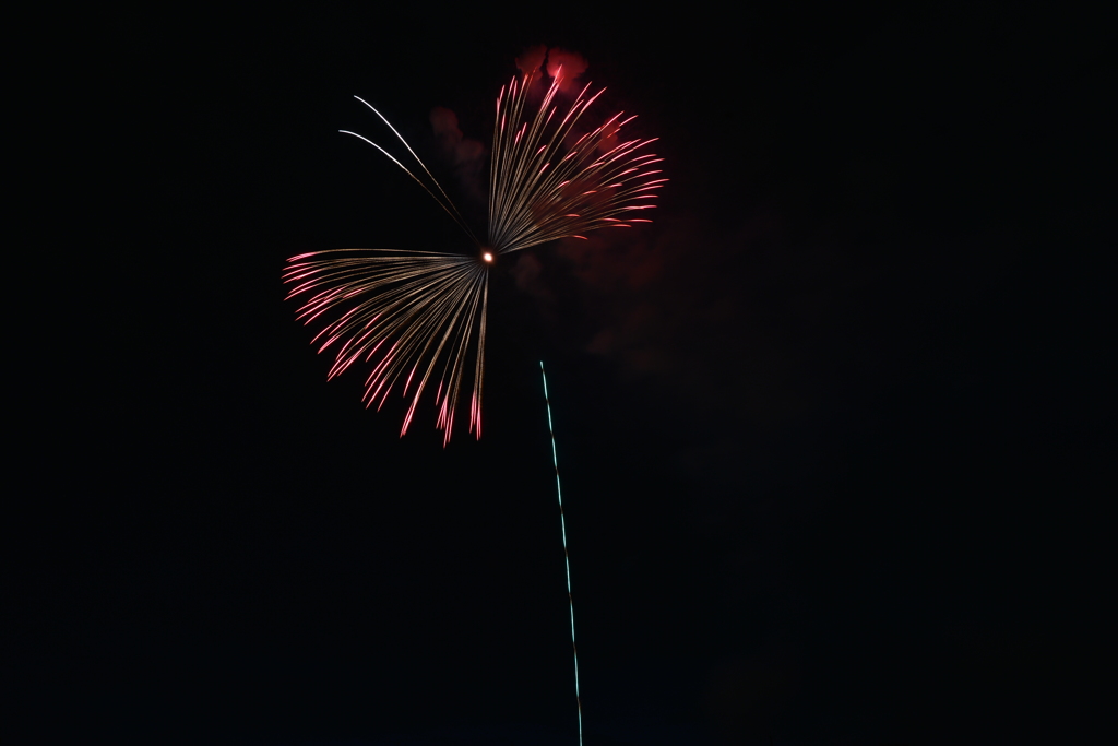 蝶々花火