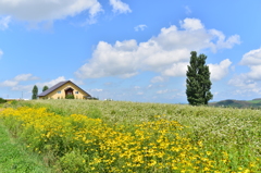 ケンとメリーの風景